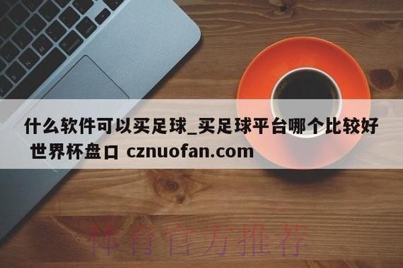 探秘世界杯盘口全站的背后秘密
